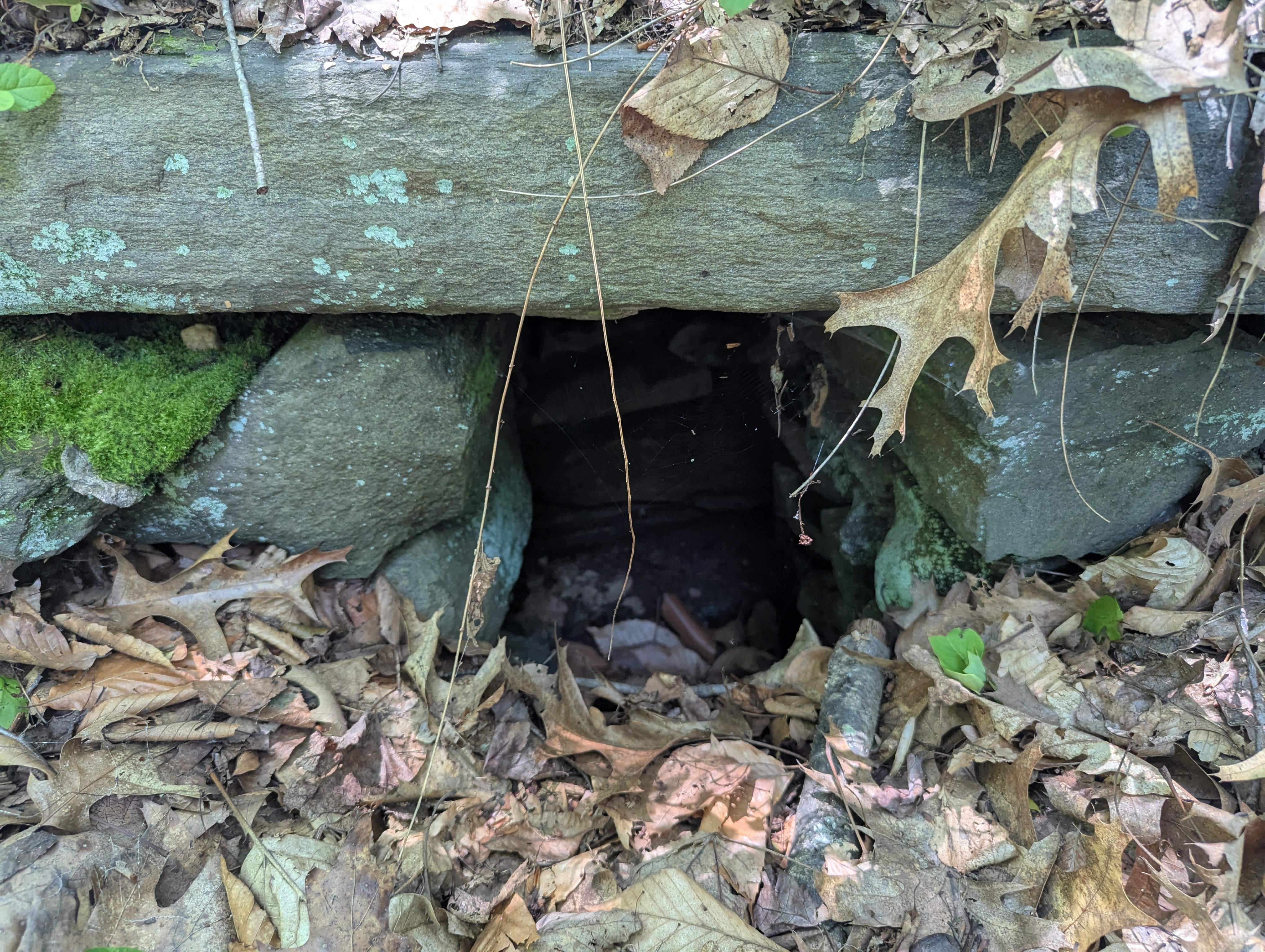 Stone drain along the Yellow Trail