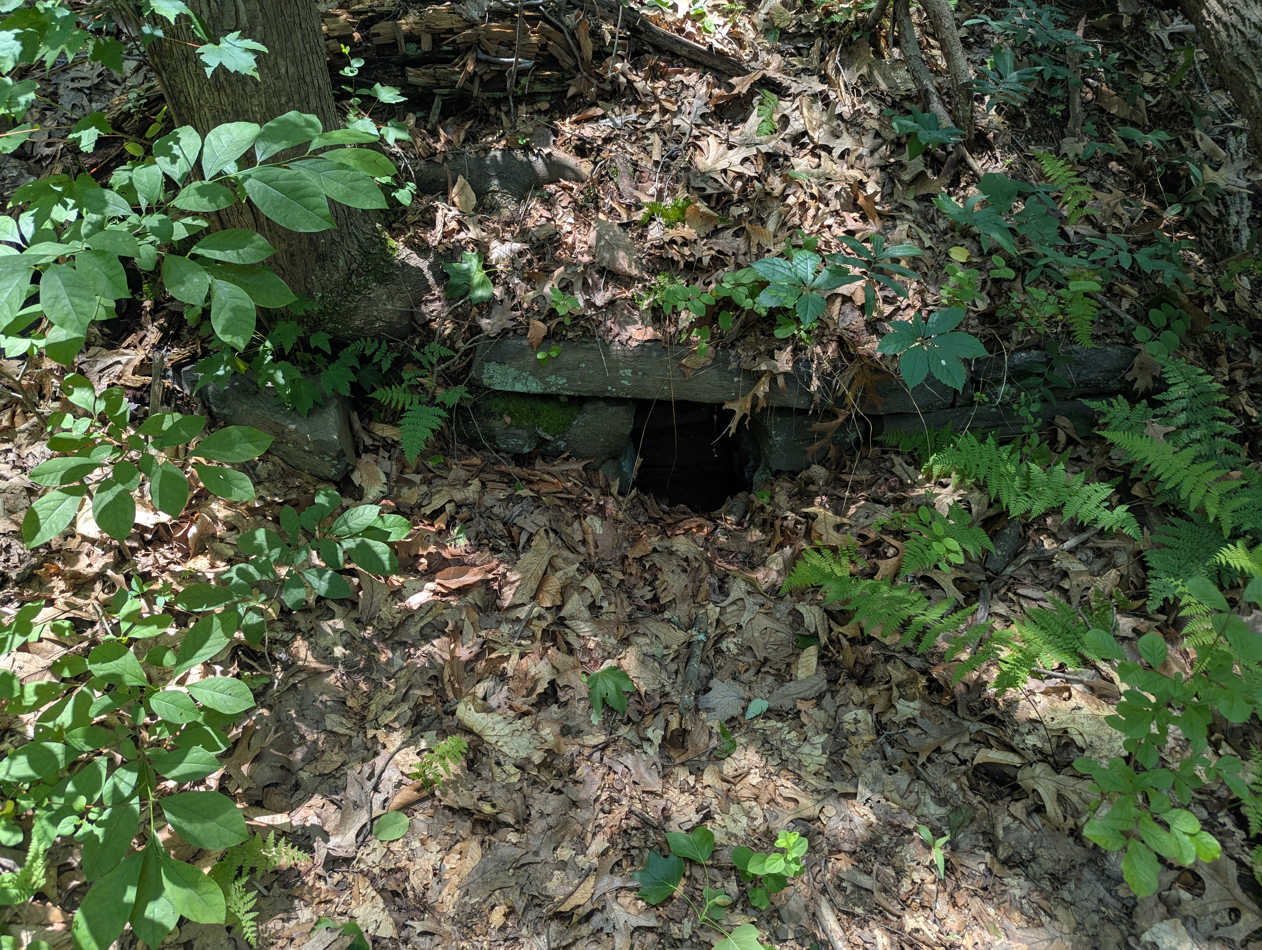 Stone drain along the Yellow Trail